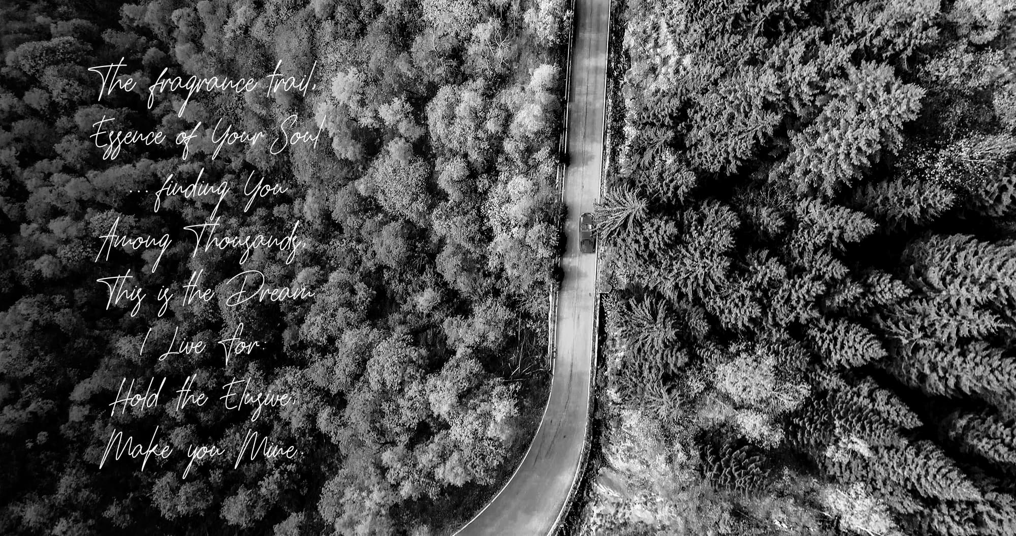 Where my spirit takes the sky, somewhere on the mountains.